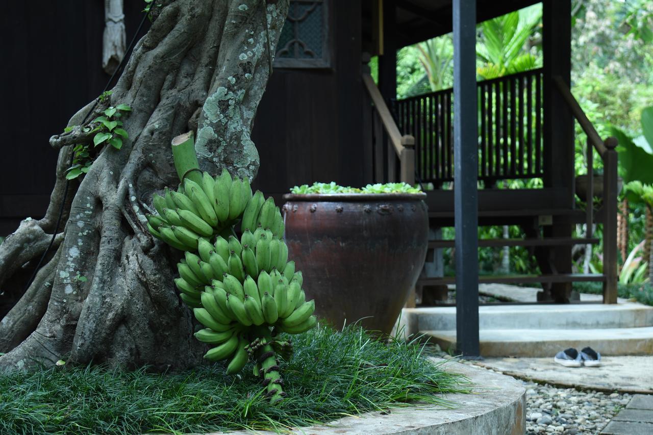 Mae Nai Gardens Villa Ban Mae Mae Dış mekan fotoğraf