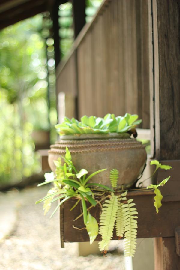 Mae Nai Gardens Villa Ban Mae Mae Dış mekan fotoğraf